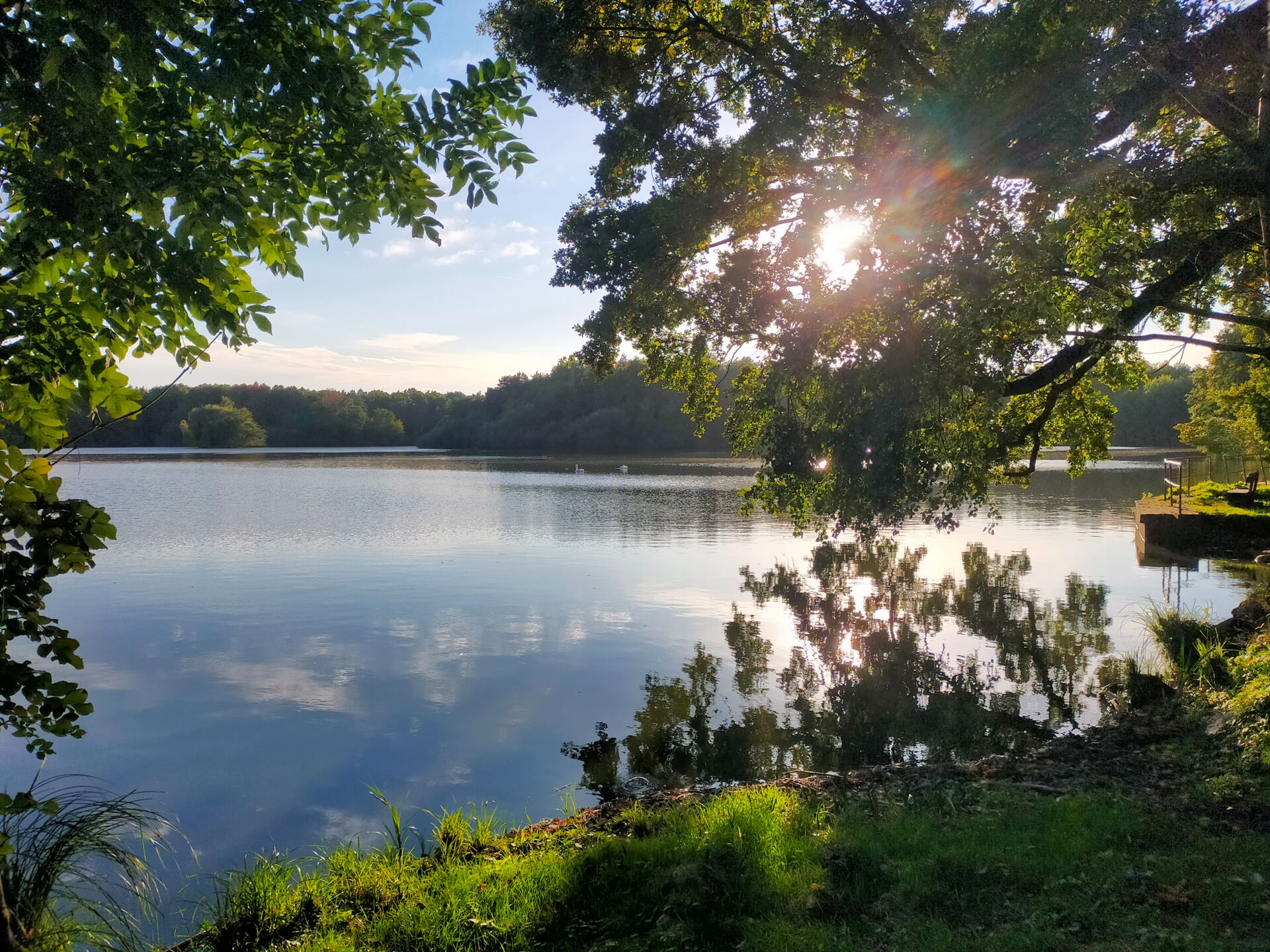 Teichlandschaft in der Oberlausitzer Heide - umrahmt von grünen Bäumen & Sonnenschein