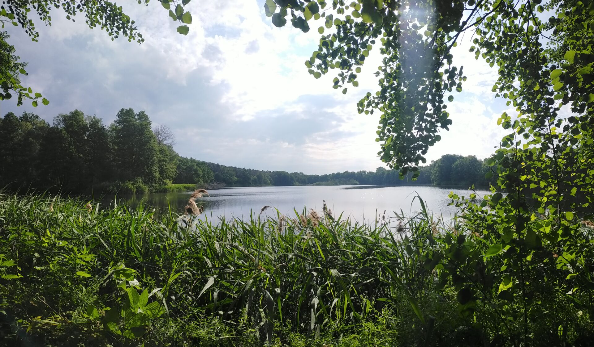 Urlaub in der Oberlausitzer Heide und Teichlandschaft